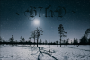 O lamento do Black Metal atmosférico no novo single do Beyond Seventh Dimension